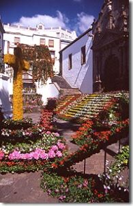 es_sc_palma_sc_palma4