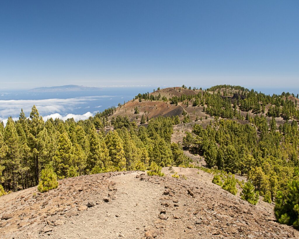 5 planes para hacer este verano en La Palma
