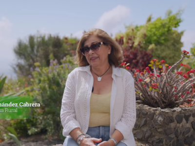 Captura de pantalla 2026-01-11 114450