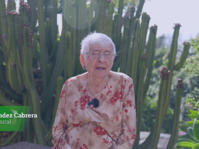 Captura de pantalla 2026-01-11 115041