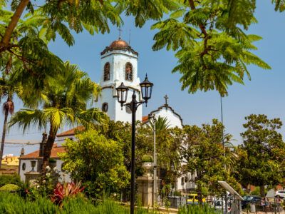 san andres y sauces 3